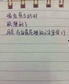 搞笑吃货的诗句,趣味横生的美食诗篇