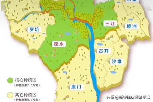 新会的资料,千年古邑，岭南文化瑰宝的传承与发展