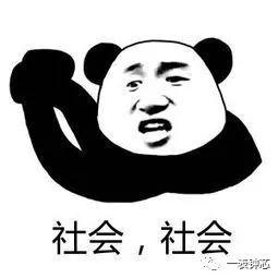 表情包计时,捕捉瞬间笑点的欢乐时光