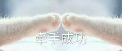 牵我的手表情包