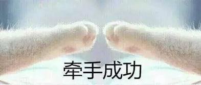 牵我的手表情包