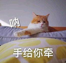 牵我的手表情包