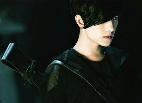 张起灵个人资料,揭秘古墓奇缘背后的传奇人生