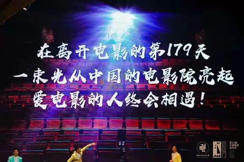 金鸡奖背景音乐,探寻金鸡奖背景音乐的独特魅力